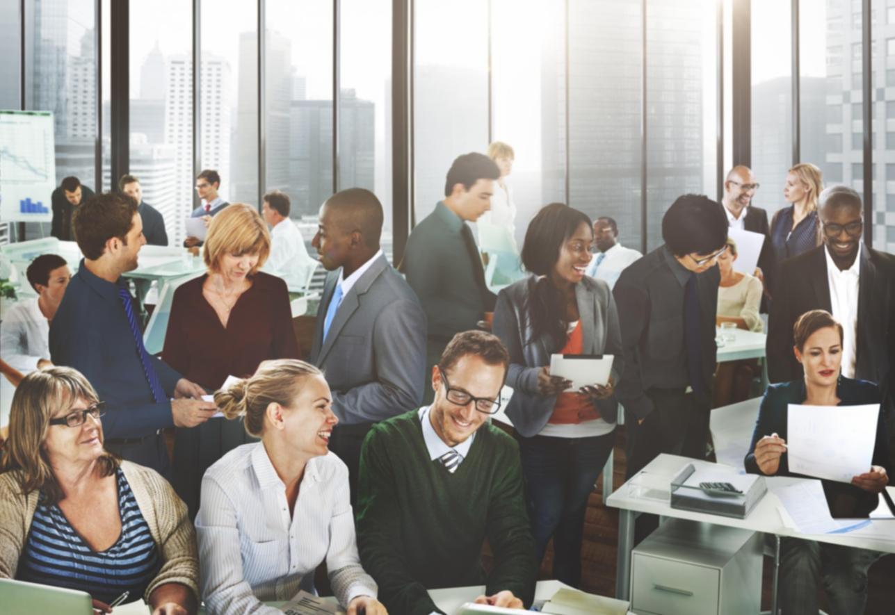 회사 설립 교육 과정 이미지